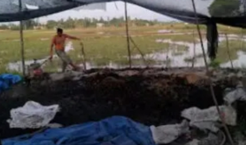 Pemuda di Aceh Besar produksi lima ton pupuk dari kotoran hewan dalam sehari