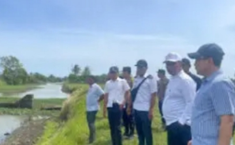 Bupati Aceh Besar Tinjau Sawah Blang Tamak Tungkop